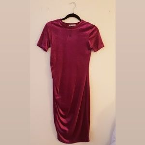 NWOT ZARA TRFLC Velour Velvet Dress